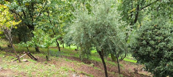 4 bedrooms House in Marliana, Italy No. 362637 27