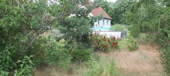 Terreno em Markisch-Oderland, Germany N.º 27035 2