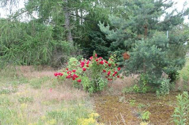 Terreno em Markisch-Oderland, Germany N.º 27035