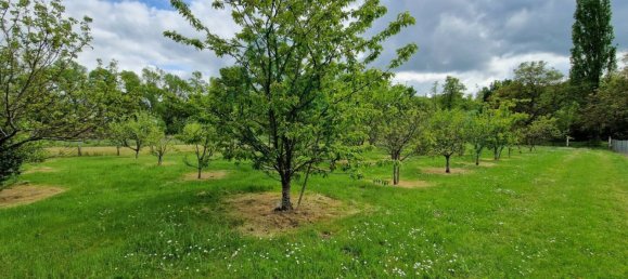 4 bedrooms House in Saint-Firmin-sur-Loire, France No. 254200 9