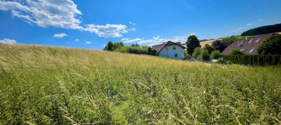  Land in Weisskirchen an der Traun, Austria No. 201269 5