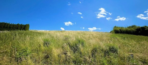  Land in Weisskirchen an der Traun, Austria No. 201269 3