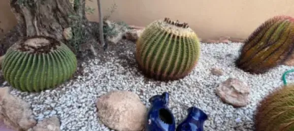 8 bedrooms Building in Aguilas, Spain No. 171714 31