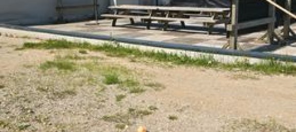 Castillos de 10 habitaciónes en Jura, France No. 313622 7