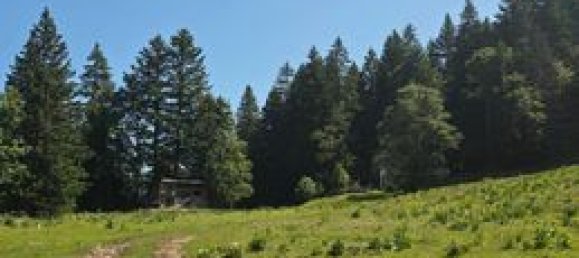 Castillos de 10 habitaciónes en Jura, France No. 313622 2