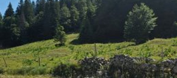 Castillos de 10 habitaciónes en Jura, France No. 313622 5