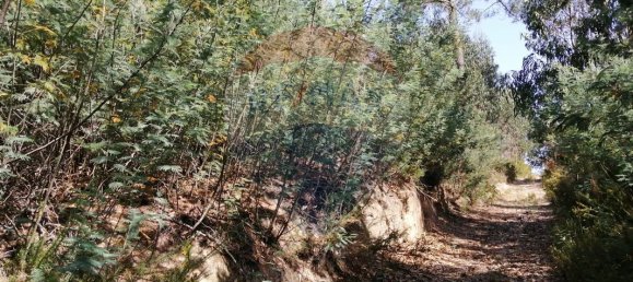 16500m² Land in Torres Vedras, Portugal No. 92821 4