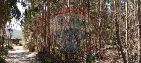 16500m² Land in Torres Vedras, Portugal No. 92821 3