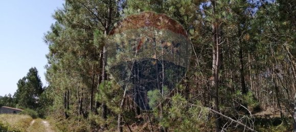 16500m² Land in Torres Vedras, Portugal No. 92821 8