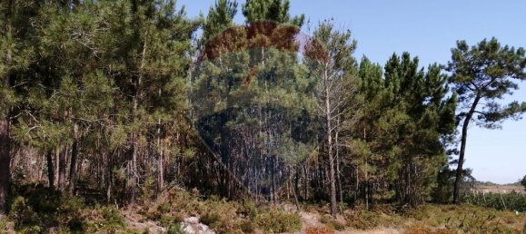 16500m² Land in Torres Vedras, Portugal No. 92821 9