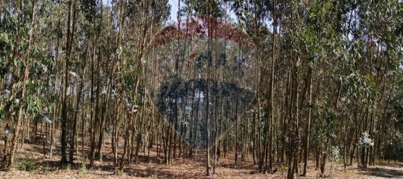 16500m² Land in Torres Vedras, Portugal No. 92821 5