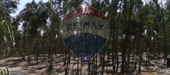 16500m² Land in Torres Vedras, Portugal No. 92821 6