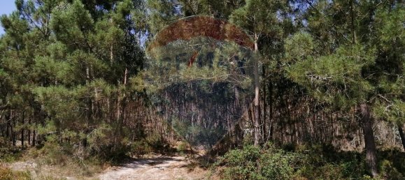 16500m² Land in Torres Vedras, Portugal No. 92821 2