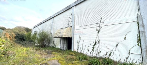Lagerhaus in Santa Maria da Feira, Portugal 1174m², Nr. 9369 28