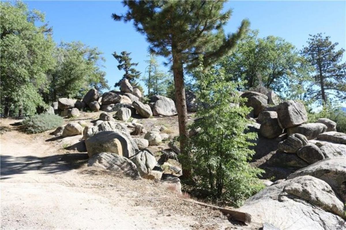 Studio in Big Bear Lake, USA No. 391994