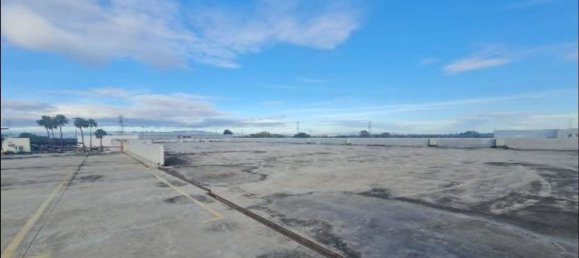 Entrepôt à Alzira, Spain 4270m² No. 168053 2