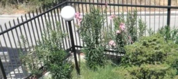 Коммерческая недвижимость с 3 спальнями в Panorama, Греция № 2476 17