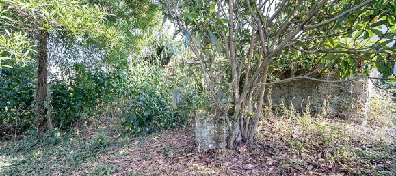 3 bedrooms House in Tavarede, Portugal No. 35356 7