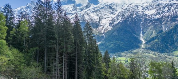 1734m² Hotel in Les Houches, France No. 446865 2