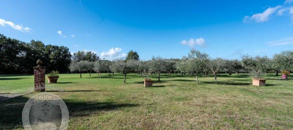 20غرفة فيلا في Cortona, Italy رقم 56471 20