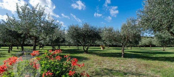 20غرفة فيلا في Cortona, Italy رقم 56471 21