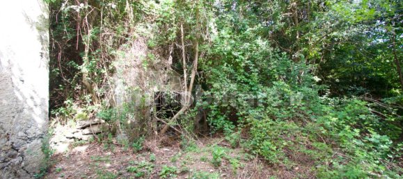 5 bedrooms Villa in Oliveto Lario, Italy No. 285515 17