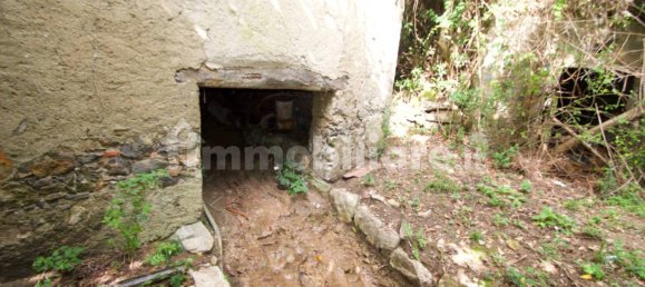 5 bedrooms Villa in Oliveto Lario, Italy No. 285515 16