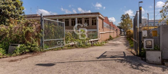  مستودع في Aprilia, Italy 1432متر مربع رقم 289218 19