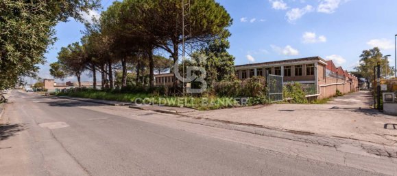  مستودع في Aprilia, Italy 1432متر مربع رقم 289218 20