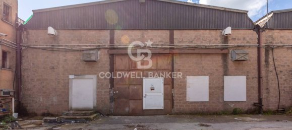  مستودع في Aprilia, Italy 1432متر مربع رقم 289218 6