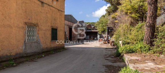  مستودع في Aprilia, Italy 1432متر مربع رقم 289218 10