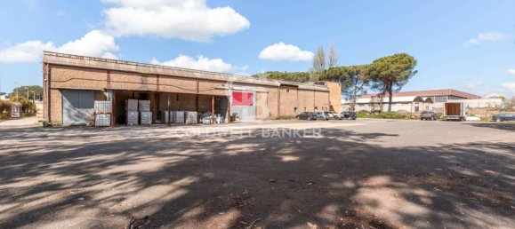  مستودع في Aprilia, Italy 1432متر مربع رقم 289218 12