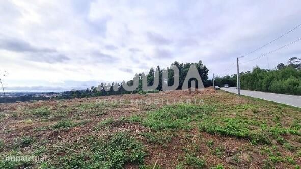 Terrain à Sao Joao de Ver, Portugal 28884m² No. 345419