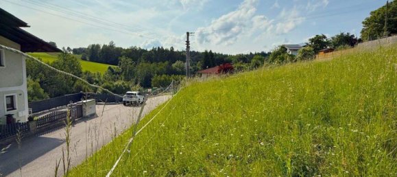  Land in Freinberg, Austria No. 166851 5