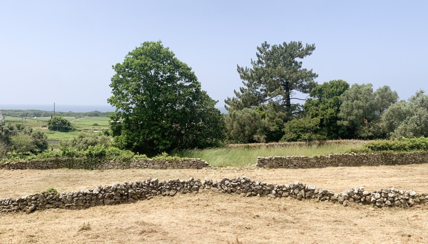 Terrain à Viana do Castelo, Portugal 2330m² No. 58745