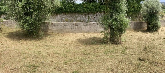 Terrain à Viana do Castelo, Portugal 2330m² No. 58745 6