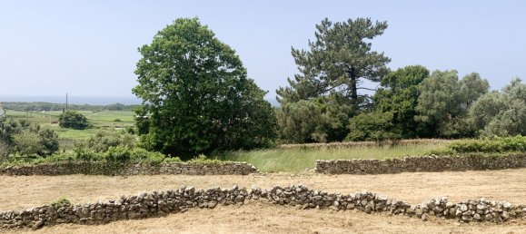 Terrain à Viana do Castelo, Portugal 2330m² No. 58745 14