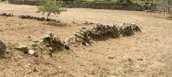 Terrain à Viana do Castelo, Portugal 2330m² No. 58745 9