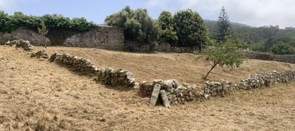 Terrain à Viana do Castelo, Portugal 2330m² No. 58745 3