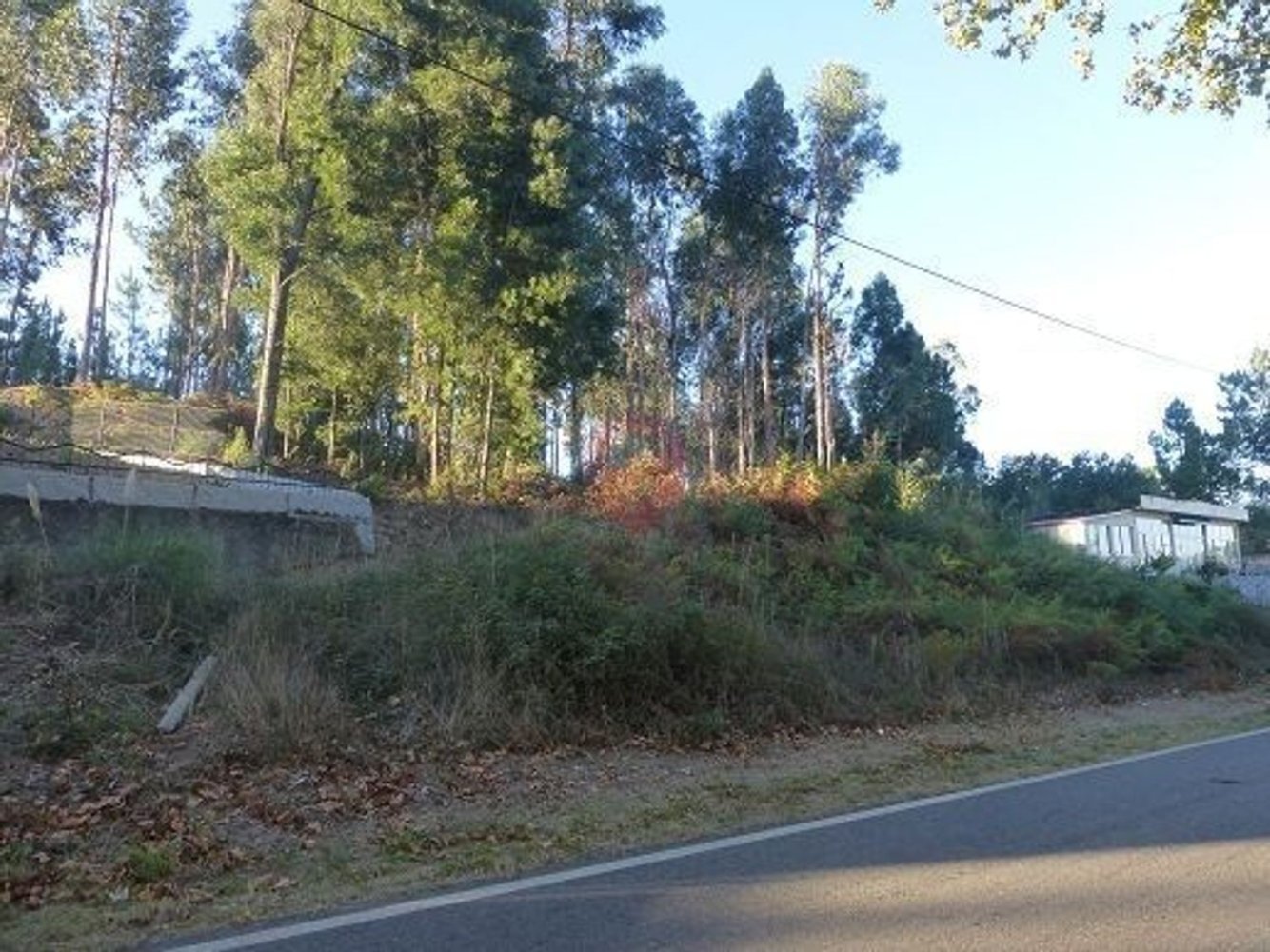 Terrain à Bela, Portugal No. 314077