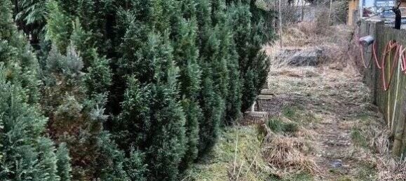 6-Zimmer Haus in Ilm-Kreis, Germany, Nr. 41952 9