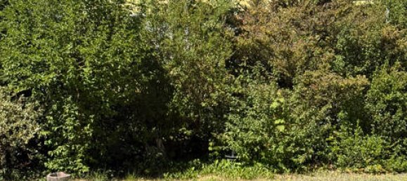 1 bedroom Apartment in Oberhavel, Germany No. 352114 2