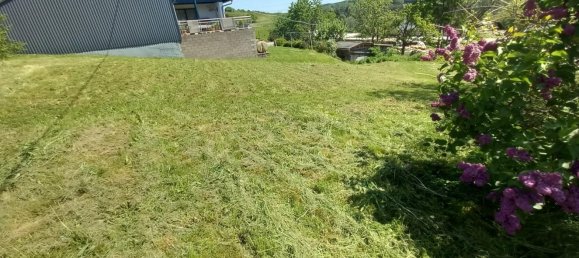  Land in Trier-Saarburg, Germany No. 320887 4