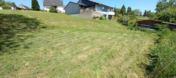  Land in Trier-Saarburg, Germany No. 320887 2