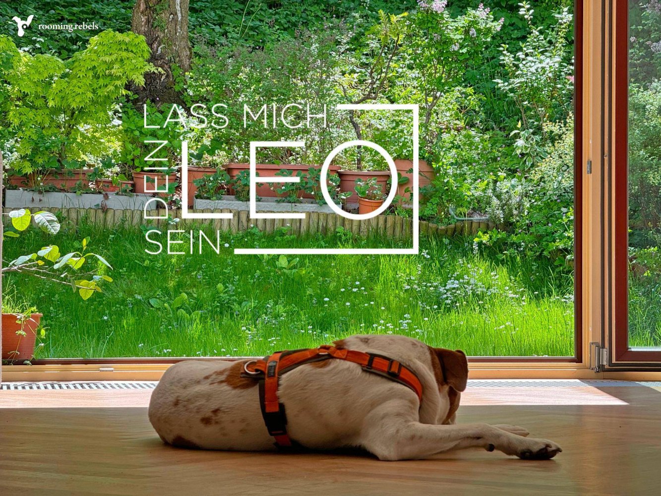 4 rooms Townhouse in Liesing, Austria No. 150321