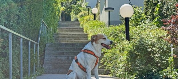 4 rooms Townhouse in Liesing, Austria No. 150321 6