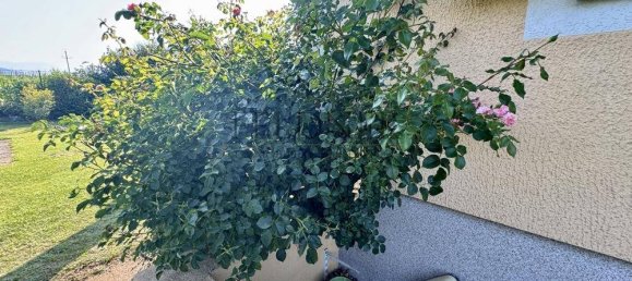 3 غرف نوم بنغالو في Poggersdorf, Austria رقم 255859 7