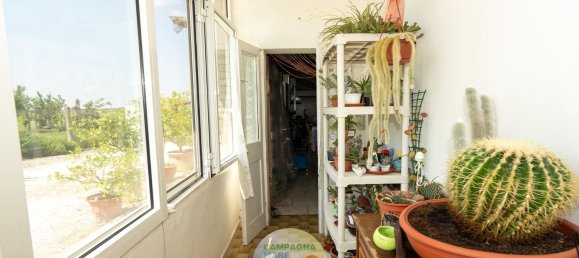 7 bedrooms House in Jolanda di Savoia, Italy No. 344332 14