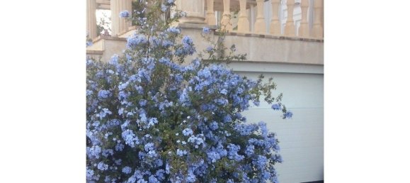 4 bedrooms House in Mutxamel, Spain No. 109622 12