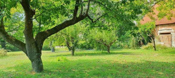 3 rooms House in Mannersdorf an der Rabnitz, Austria No. 171308 4